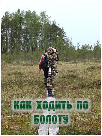 Переправа по болоту. Гать через болото. Преодоление болота. Снегоступы для болота. Ходьба по болоту.
